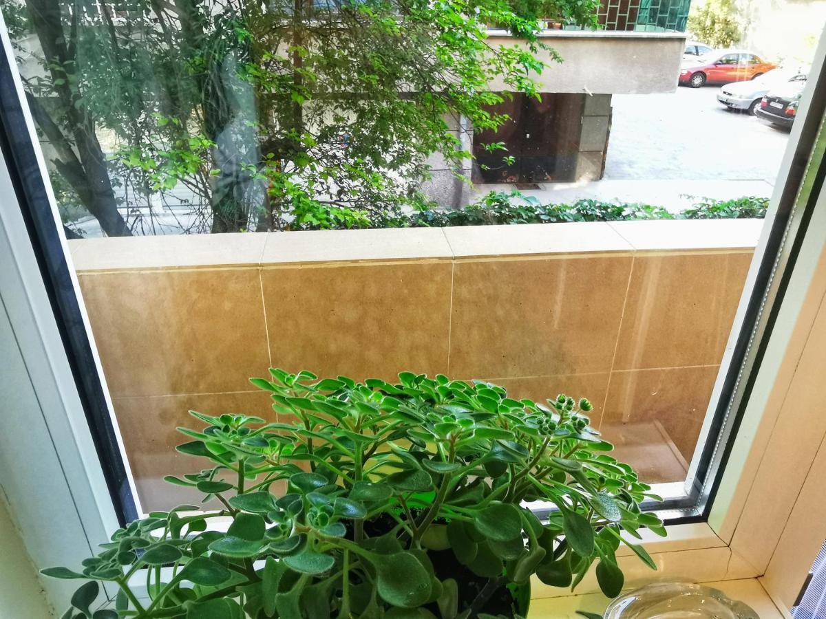 Rila Apartment Σόφια Εξωτερικό φωτογραφία